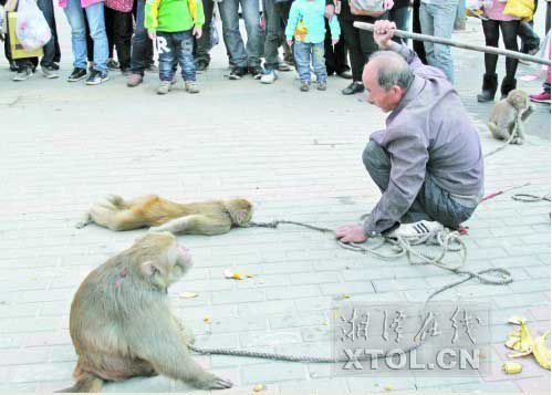 耍猴人当街暴打猴子,引起围观市民的反感。(竖戈摄)